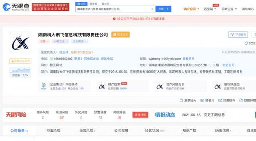 湖南科大訊飛信息科技有限責任公司注銷，軟件開發領域引發行業關注